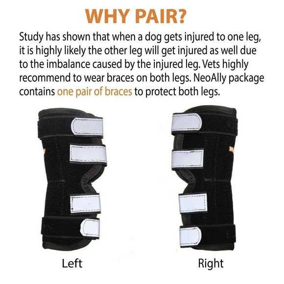 Neoally Dog/Cat Rear Leg Braces w/ Ultra Spring Support XS Long Injury Arthritis - Picture 2 of 16